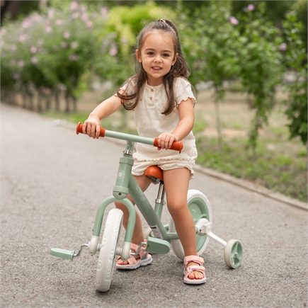 Ποδήλατο Ισορροπίας Lorelli ENERGY 2 in 1 – Μετατρέπεται σε Ποδήλατο με Πετάλια (2-5 Ετών)