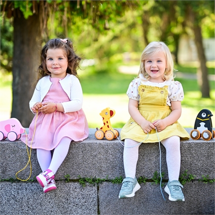 Lorelli Παιχνίδι Έλξης (Pull-Along Toy) για Παιδιά 12+ Μηνών